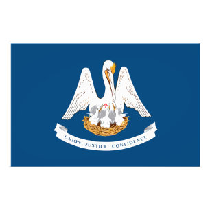 Louisiana Statlig flagga USA Fototryck