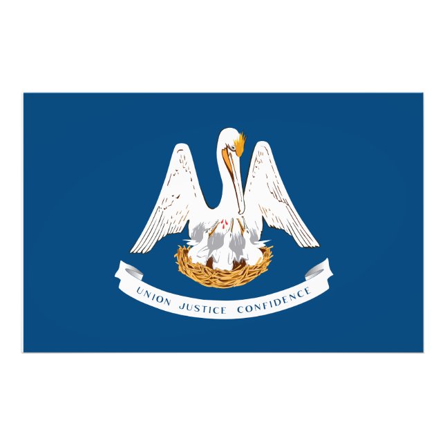 Louisiana Statlig flagga USA Fototryck (Framsidan)