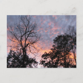 Louisiana Sunset Vykort