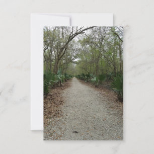 Louisiana Swamp Bayou Nature Note Card Tack Kort