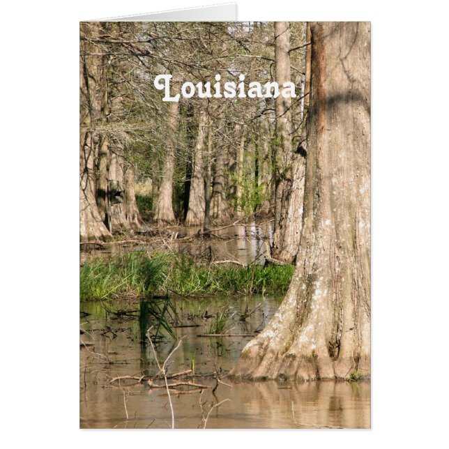 Louisiana Swamp OBS Kort (Framsidan)