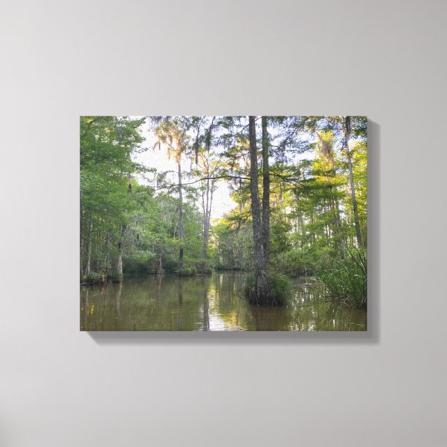 Louisiana träsk canvastryck (Framsida)