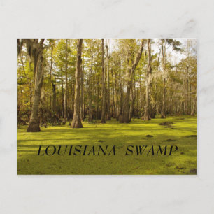 Louisiana träsk (LA), LOUISIANA TRÄSK Vykort