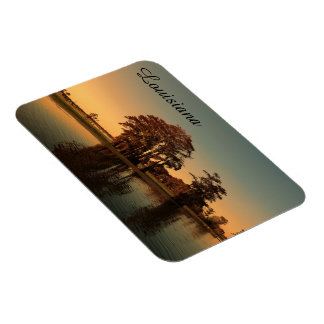 Louisiana-träsk Magnet