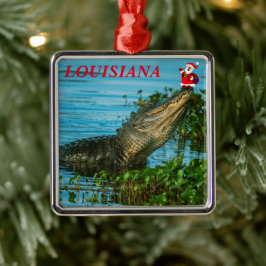 Louisiana Vacation jul Ornament