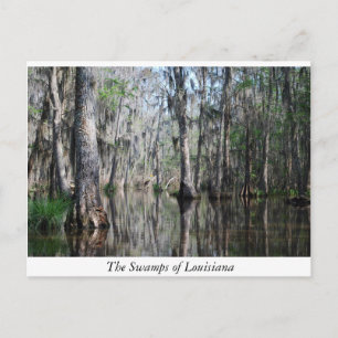 Louisianas svampar vykort