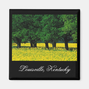 Louisville Kentucky magnet