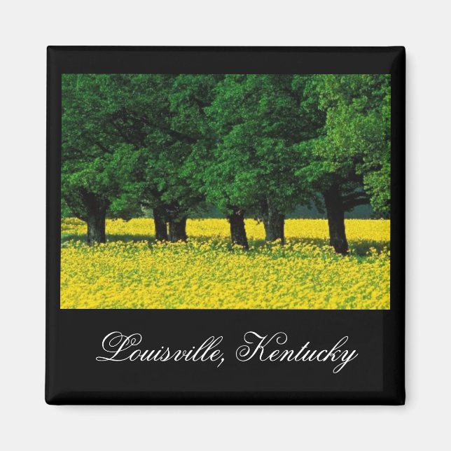 Louisville, Kentucky Magnet (Framsidan)