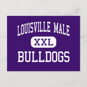 Louisville Male - Bulldog - High - Louisville Vykort