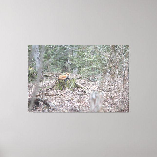 Lounderkant Canvastryck (Framsida)