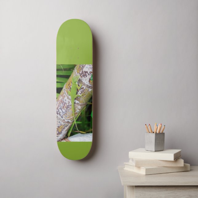 Lounge Lizard Grönt Gecko Mini Skateboard Bräda 18,5 Cm (Väggkonst)