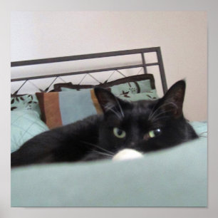 Lounging Lucy Poster