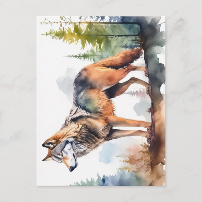 Loup en forêt à l'aquarelle vykort (Framsida)