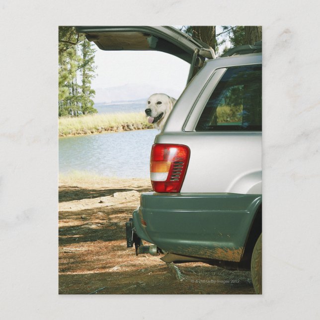 Lourensford, Somerset Väster, SydAfrikan Vykort (Framsida)