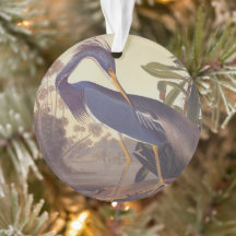 Lousiana Heron i Grått, Grönt och Blue av Audubon