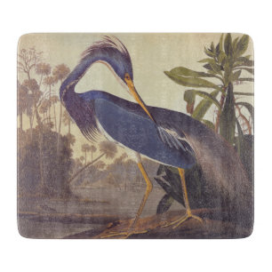Lousiana Heron i Grått, Grönt och Blue av Audubon