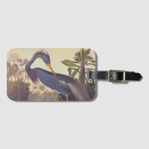 Lousiana Heron i Grått, Grönt och Blue av Audubon Bagagebricka