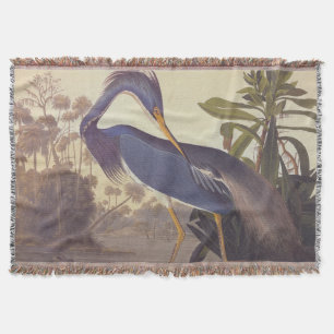 Lousiana Heron i Grått, Grönt och Blue av Audubon Filt