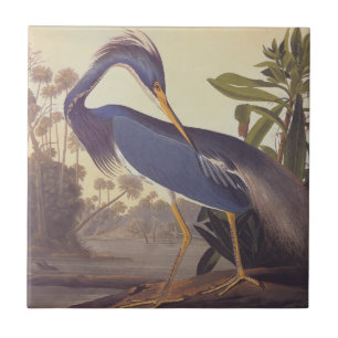 Lousiana Heron i Grått, Grönt och Blue av Audubon Kakelplatta