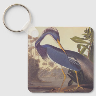 Lousiana Heron i Grått, Grönt och Blue av Audubon Nyckelring