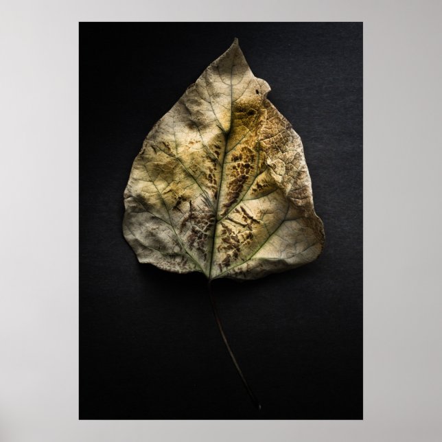 Löv 1 Färg version Poster (Framsidan)