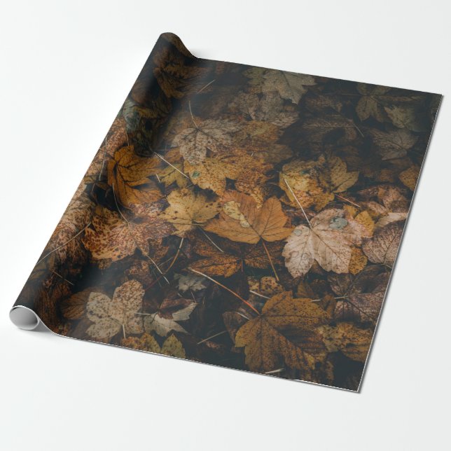 LÖV AV BROWN MAPLE PRESENTPAPPER (Utrullad)