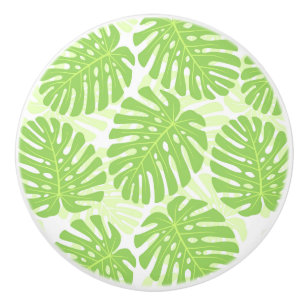 Löv av den tropiska växten - Monstera mönster Knopp