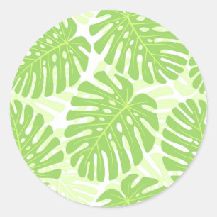 Löv av den tropiska växten - Monstera mönster Runt Klistermärke