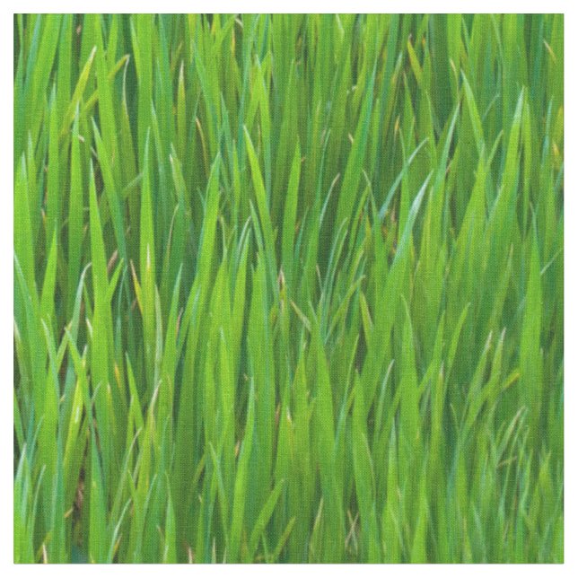 Löv av gräs tyg (Närbild)