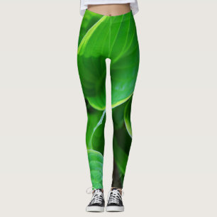Löv av hostaväxter leggings