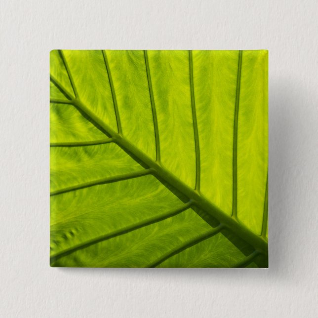 löv av tropisk löv i Grönt i 2 Knapp (Framsida)