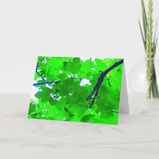 Löv för Figträd Kort