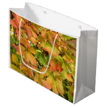 Löv för höstvildvinranka