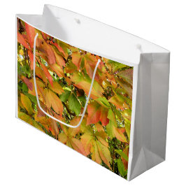 Löv för höstvildvinranka