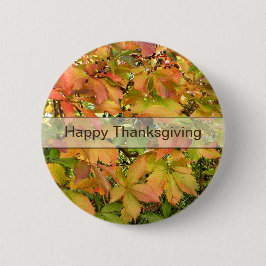 Löv för höstvildvinranka knapp