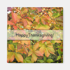 Löv för höstvildvinranka magnet