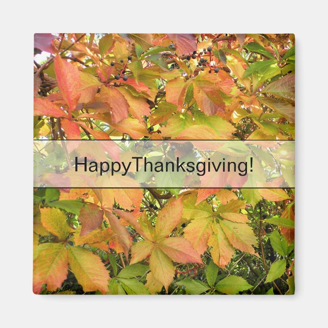 Löv för höstvildvinranka magnet (Framsidan)