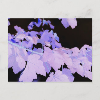 Löv~-fotografi av Lauren Perry~ Vykort