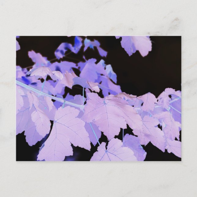 Löv~-fotografi av Lauren Perry~ Vykort (Framsida)