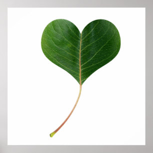 Löv hjärta poster
