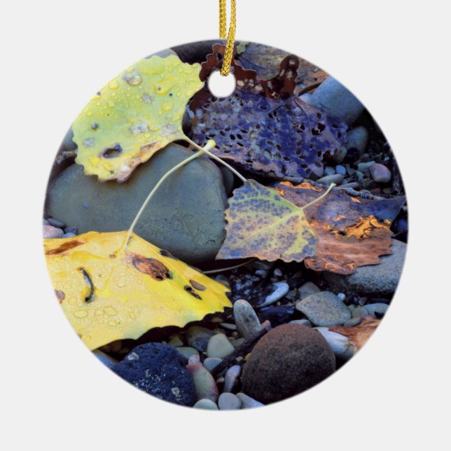 Löv i Fremont Cottonwood på flodslätten Julgransprydnad Keramik (Framsidan)