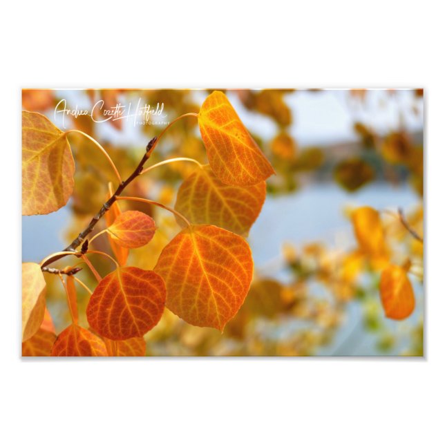 Löv i orange fototryck (Framsidan)
