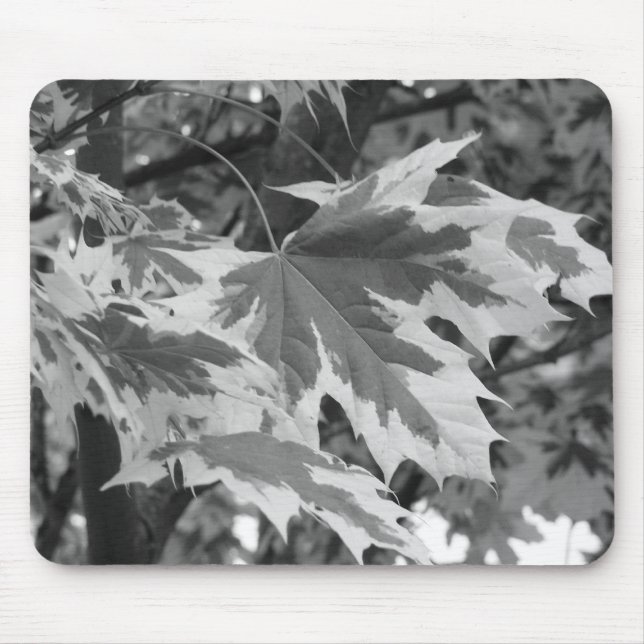 Löv i svartvitt musmatta (Framsidan)