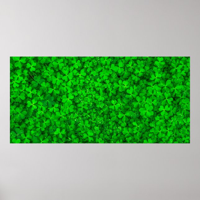 Löv klöver grönt schamprock vår poster (Framsidan)