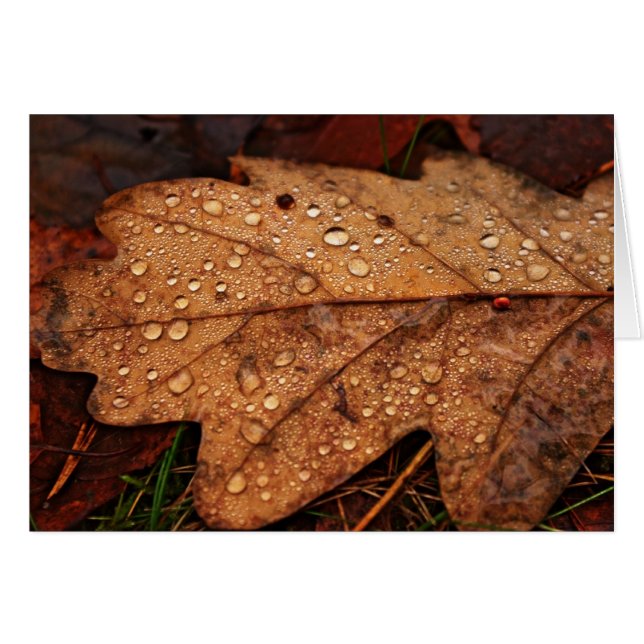 Löv-kort för höst gult hälsningskort (Framsidan Horizontal)