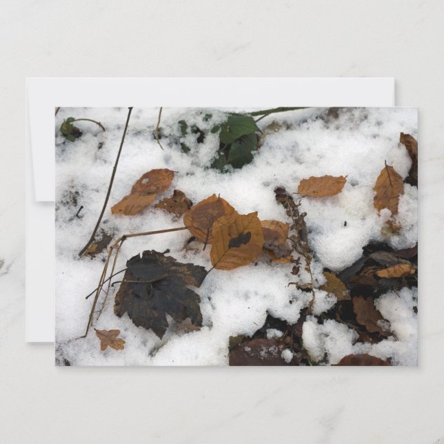 Löv ljuger i helgdag-kortet snö julkort (Framsida)