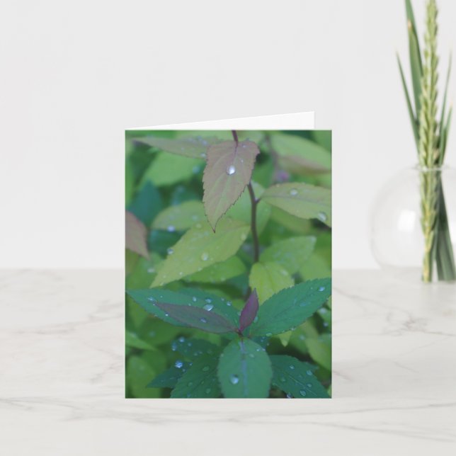 Löv med Dew Kort (Framsida)