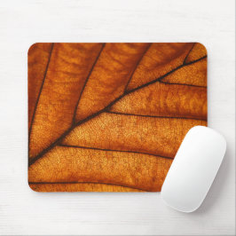 Löv naturfoto musmatta