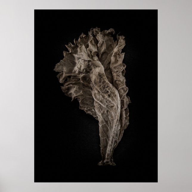 Löv nr 8 Färg version Poster (Framsidan)