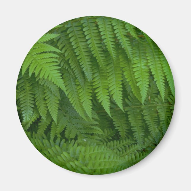 Löv och blomman mönster magnet (Framsidan)